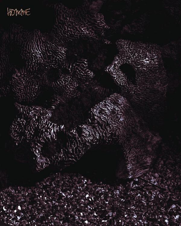 Homme-6-精壯美男魚